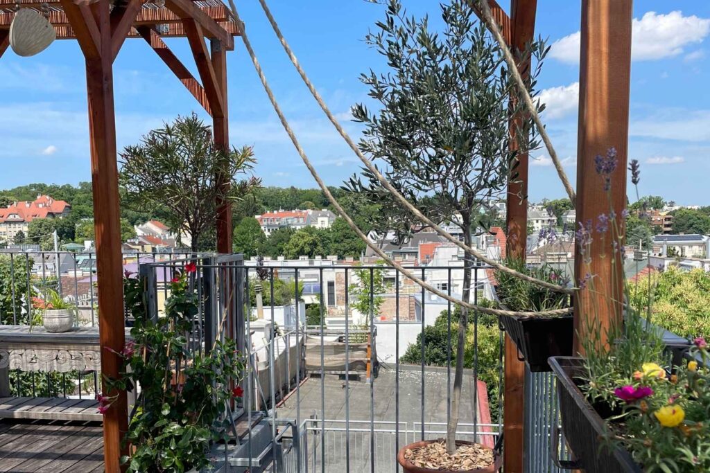 Dachterrasse mit Holzüberdachung über den Dächern Wiens