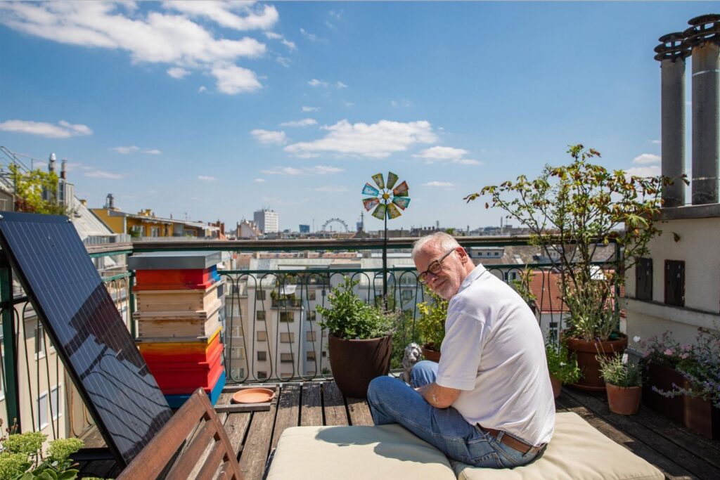 Begrünte Dachterrasse mit Sitzkissen, Pflanzkübeln und Stadtblick im Hintergrund.